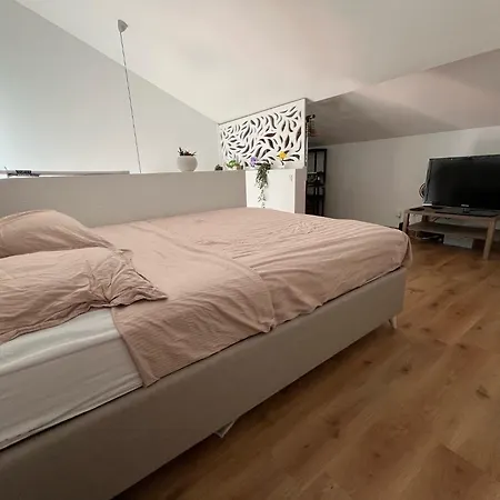 Duplex Bordeaux - Place De Parking Privee - Tram *