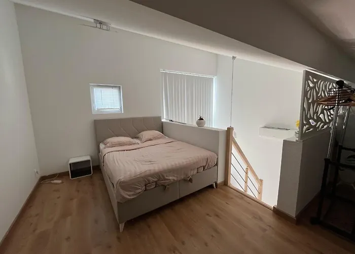 Duplex Bordeaux - Place De Parking Privee - Tram